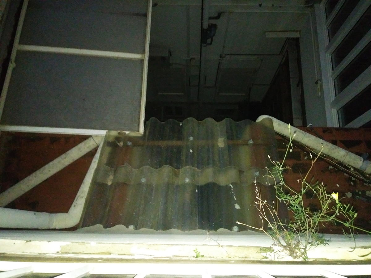 Reformes El Castell: Exarchs